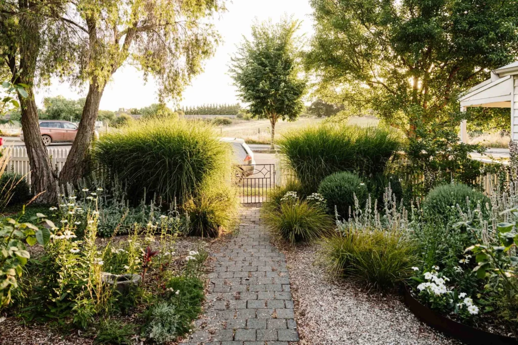 The Best Garden Plants for Beginners: Easy to Grow and Maintain