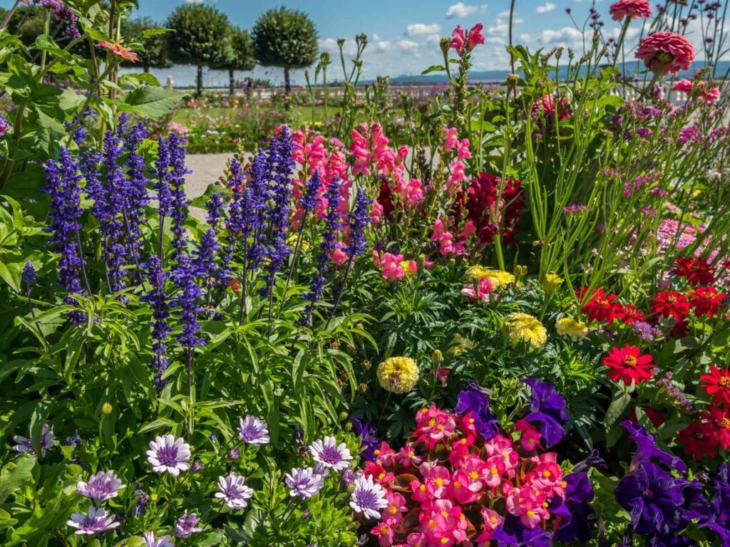 20 Low-Maintenance Garden Plants for a Stunning Outdoor Space